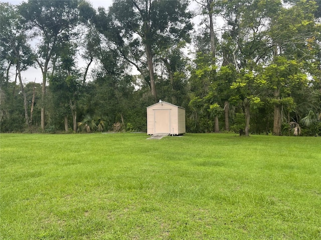 view of yard with a storage unit