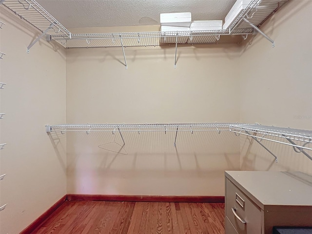 spacious closet with wood-type flooring