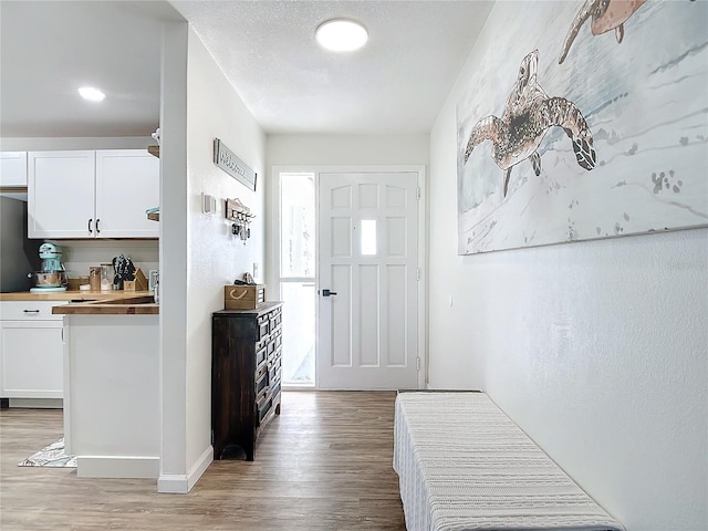 entrance foyer with light hardwood / wood-style floors