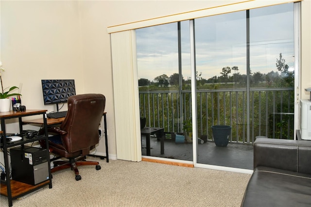 home office with light carpet