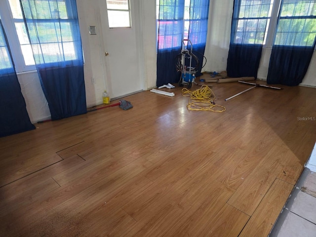 entryway featuring wood-type flooring