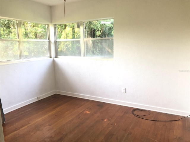 unfurnished room with dark hardwood / wood-style flooring and a wealth of natural light