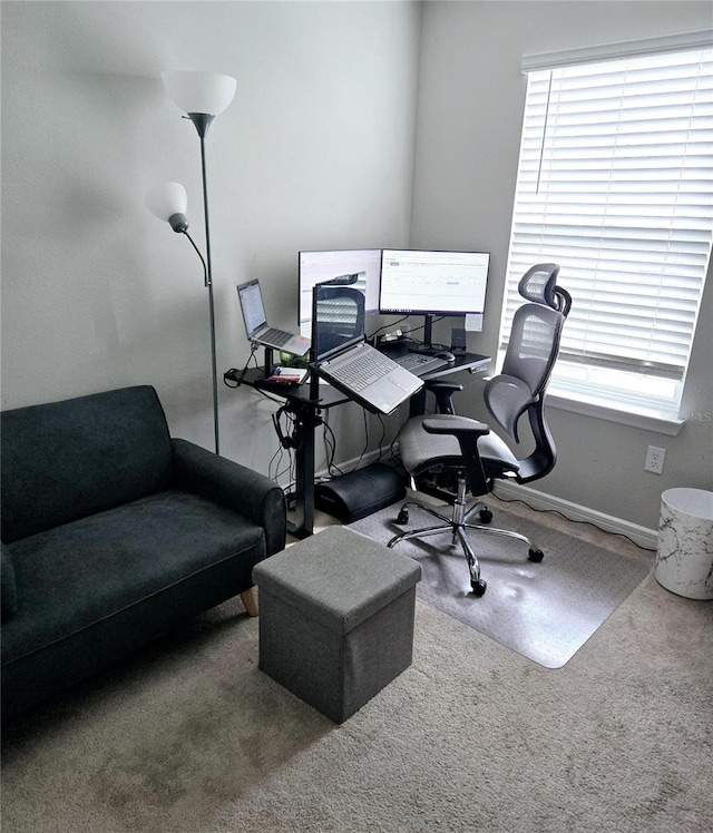 carpeted home office featuring a healthy amount of sunlight