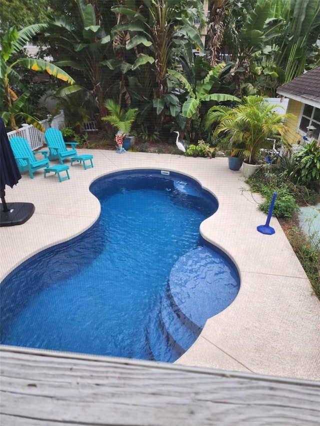 view of pool featuring a patio area