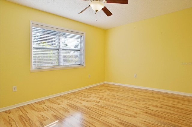 510 Wideview Ave, Tarpon Springs, FL 34689 - photo 14