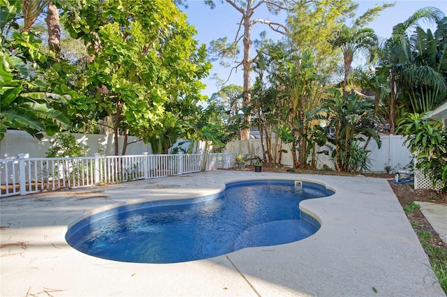 510 Wideview Ave, Tarpon Springs, FL 34689 - photo 31