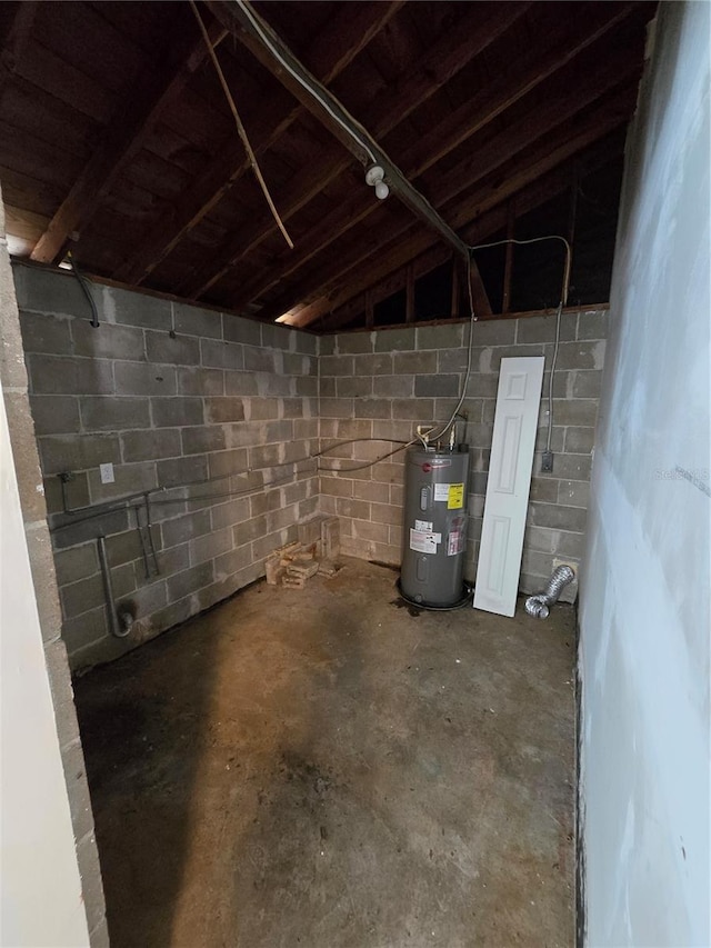 basement with electric water heater