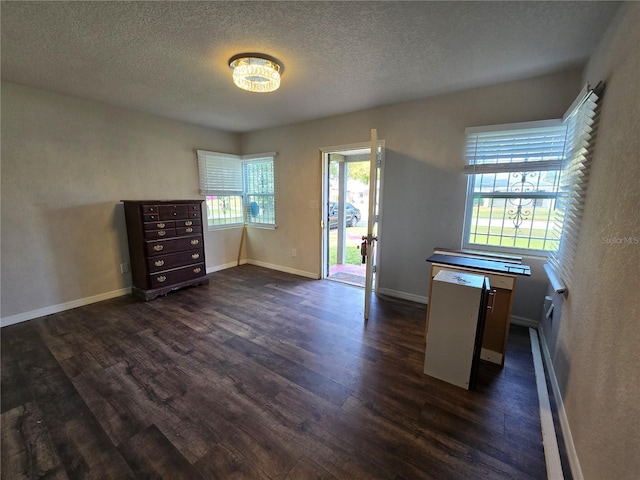 interior space featuring dark wood-type flooring and a textured ceiling