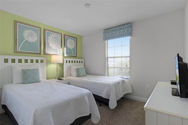 bedroom with carpet flooring