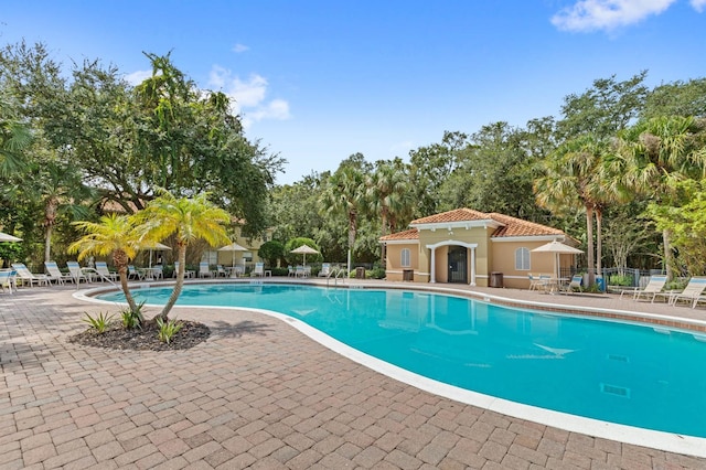 view of pool with a patio