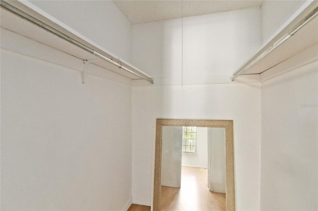 spacious closet featuring wood-type flooring