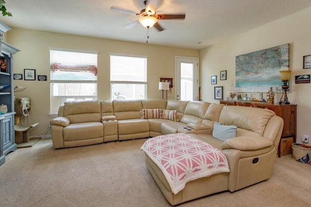 carpeted living room with ceiling fan and a textured ceiling