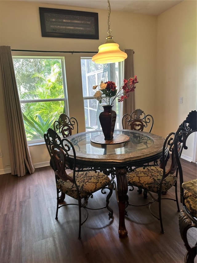 dining room featuring dark hardwood / wood-style flooring