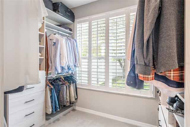 walk in closet featuring carpet flooring