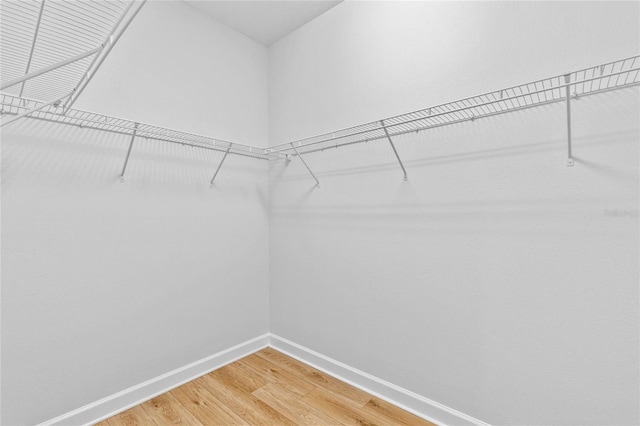 spacious closet featuring hardwood / wood-style flooring