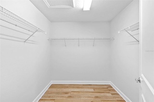 spacious closet featuring hardwood / wood-style flooring