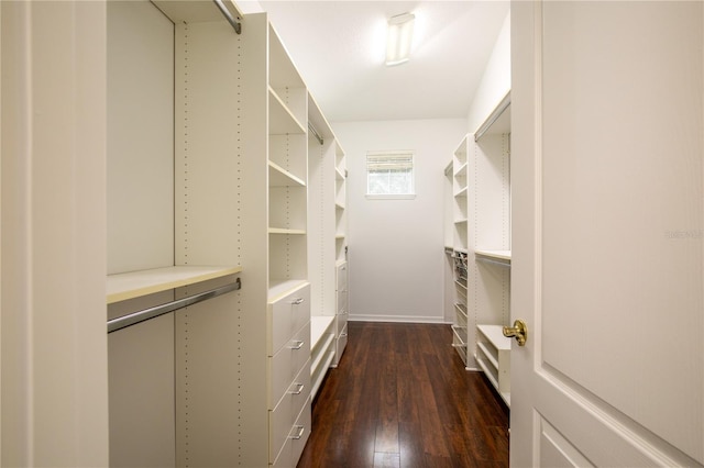 walk in closet with dark hardwood / wood-style floors