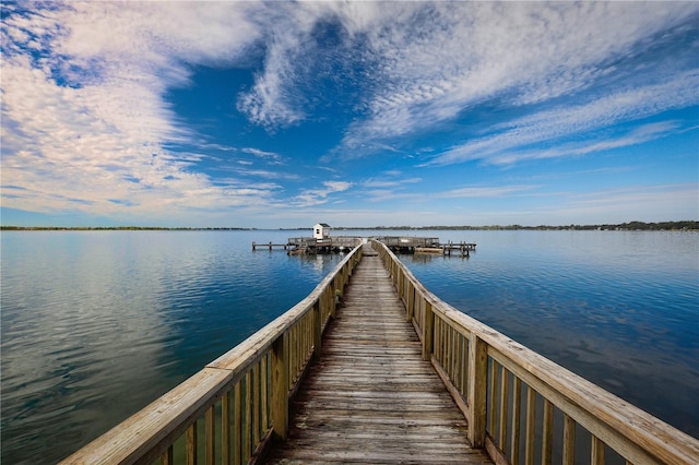 dock area with a water view