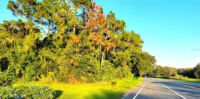 TBD Palm Dr, Yalaha, FL 34797 - photo 1