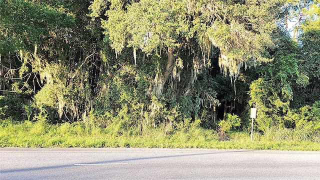 TBD Palm Dr, Yalaha, FL 34797 - photo 3