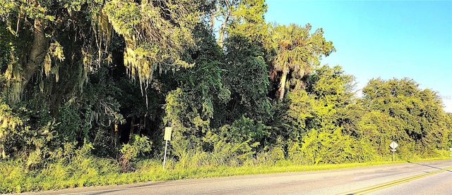 TBD Palm Dr, Yalaha, FL 34797 - photo 4