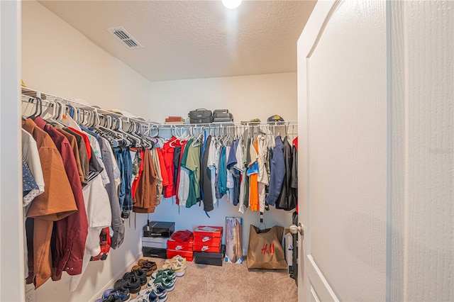 walk in closet with carpet