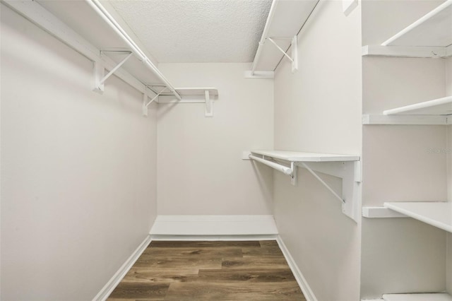 spacious closet with dark wood-type flooring