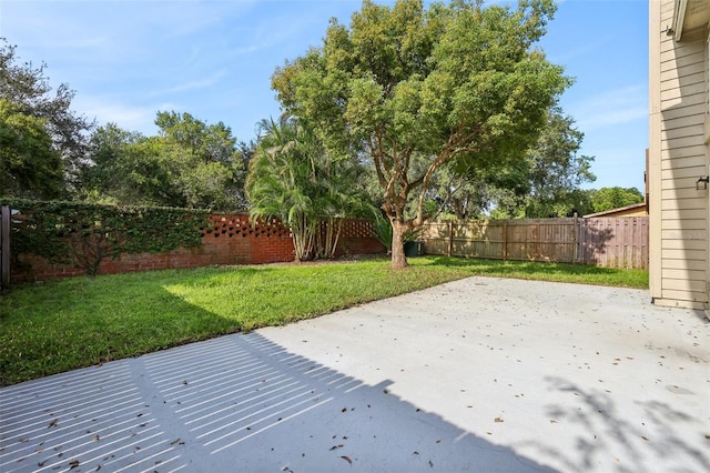 view of yard with a patio