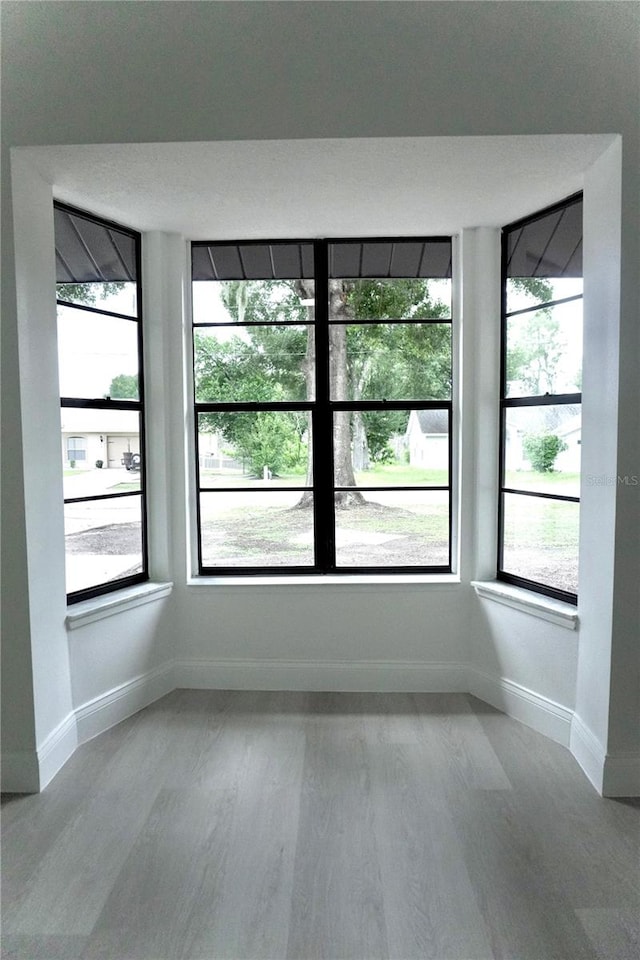 unfurnished room with light wood-type flooring and a healthy amount of sunlight