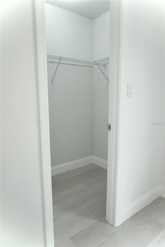 walk in closet featuring light wood-type flooring