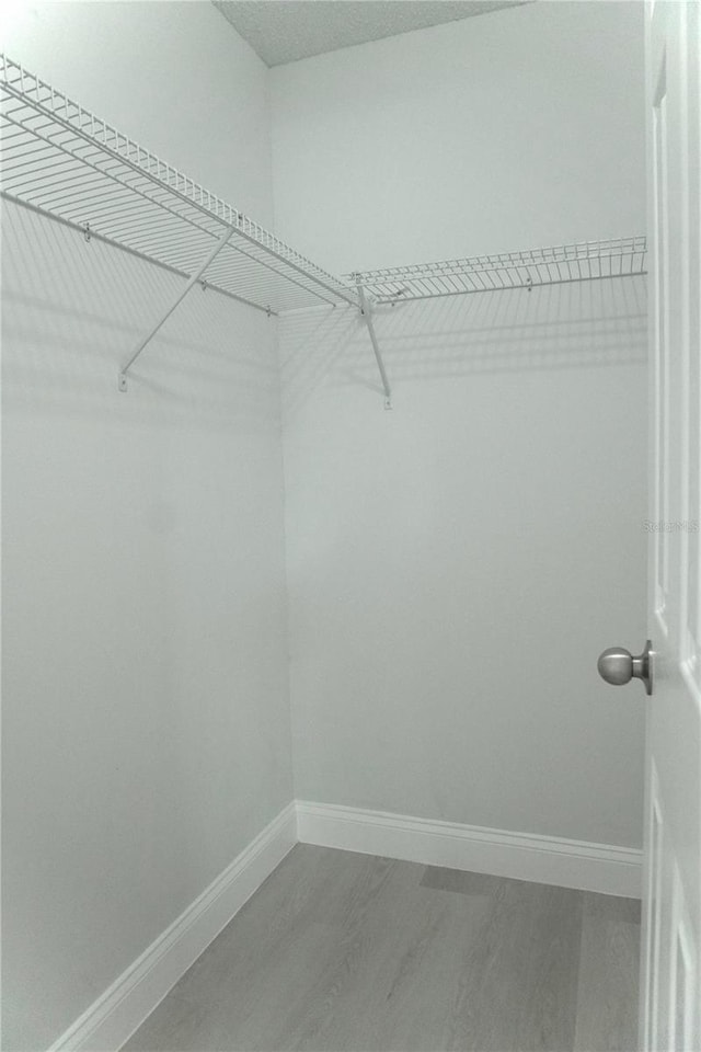 spacious closet featuring hardwood / wood-style flooring