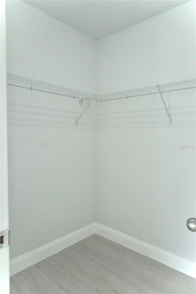 walk in closet with hardwood / wood-style flooring