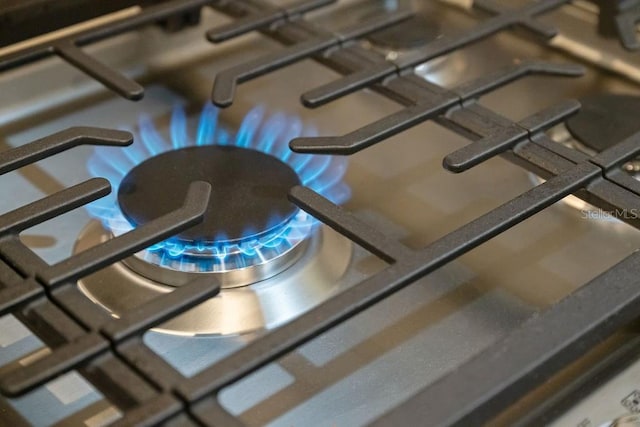details with stainless steel gas cooktop