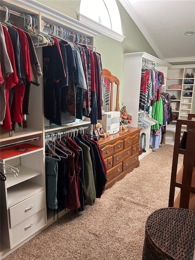 walk in closet featuring carpet flooring