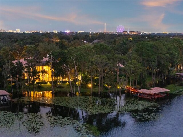 9164 Point Cypress Dr, Orlando, FL 32836 - water view with a dock and a heavily wooded area