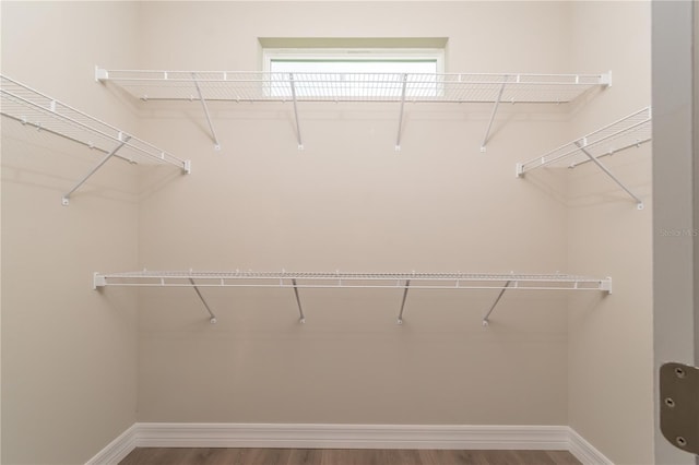 walk in closet featuring wood finished floors