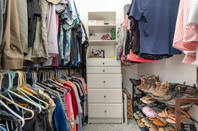 spacious closet featuring light colored carpet