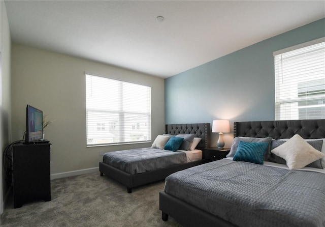 carpeted bedroom with multiple windows