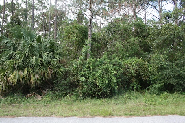 LOT7 SW 159th Ct, Ocala FL, 34481 land for sale