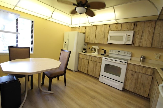 kitchen with light wood-type flooring, white appliances, and ceiling fan