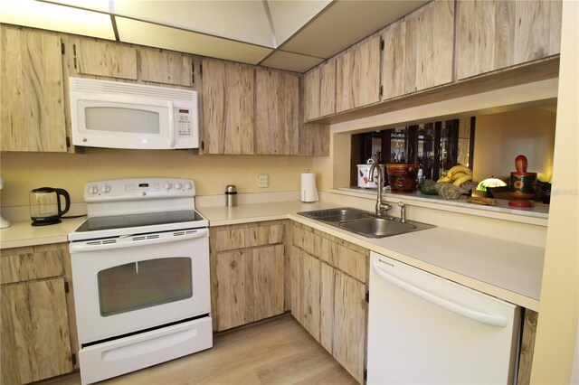 kitchen featuring light brown cabinets, sink, white appliances, a paneled ceiling, and light hardwood / wood-style floors