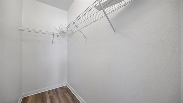 spacious closet featuring hardwood / wood-style flooring