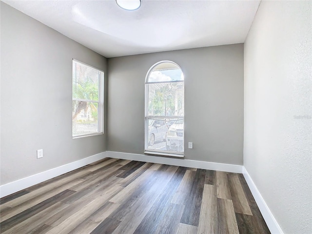 empty room featuring wood-type flooring