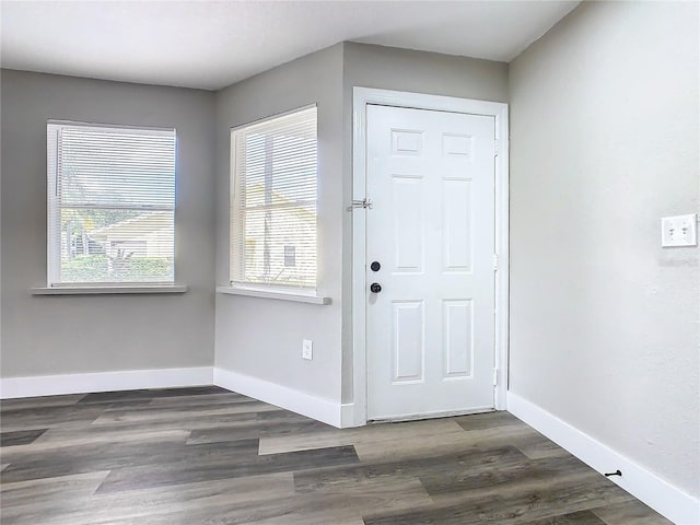 foyer entrance featuring dark hardwood / wood-style floors