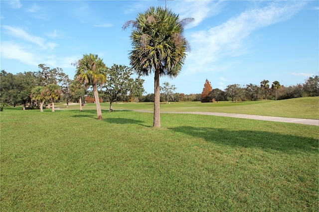 view of home's community with a yard