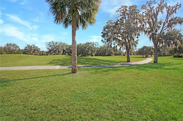 view of home's community with a yard