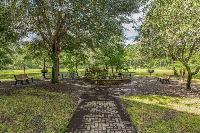 view of property's community with a yard