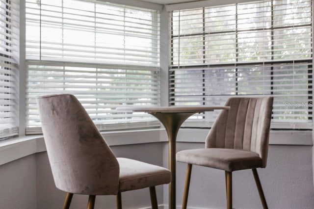 dining space with plenty of natural light