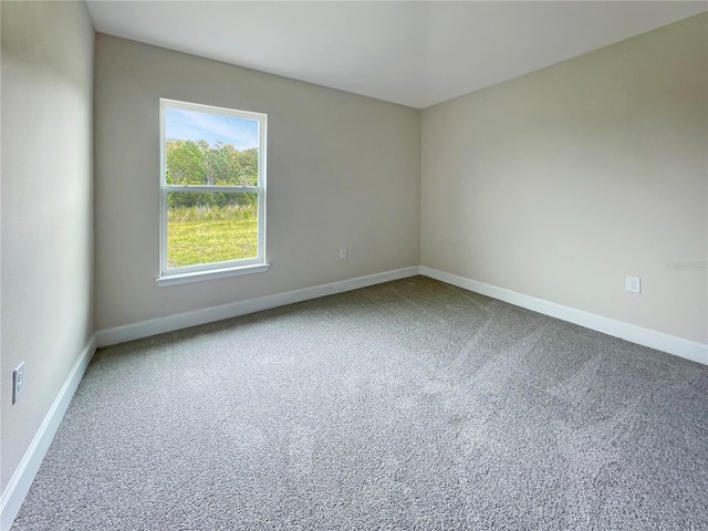 spare room with carpet