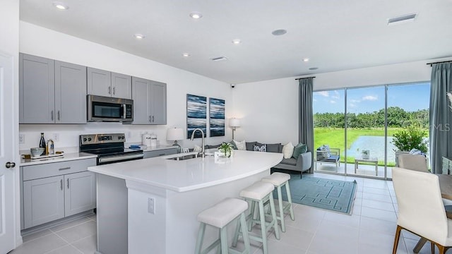 kitchen featuring gray cabinets, stainless steel appliances, a center island with sink, and sink